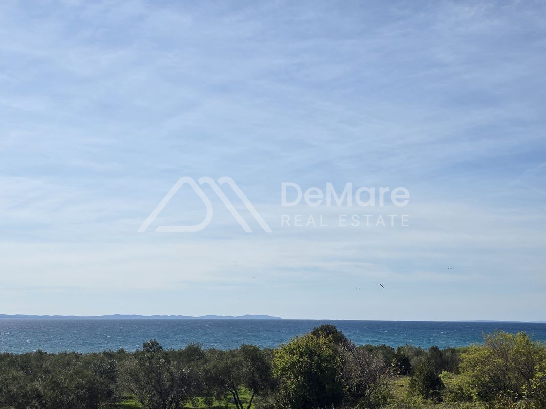 Demare.hr - Privlaka